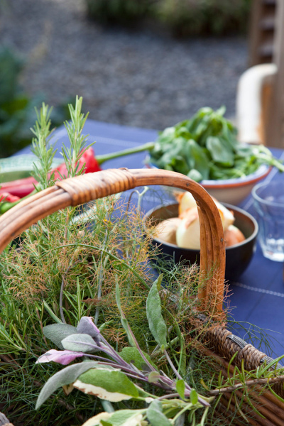 Basket of Herbs